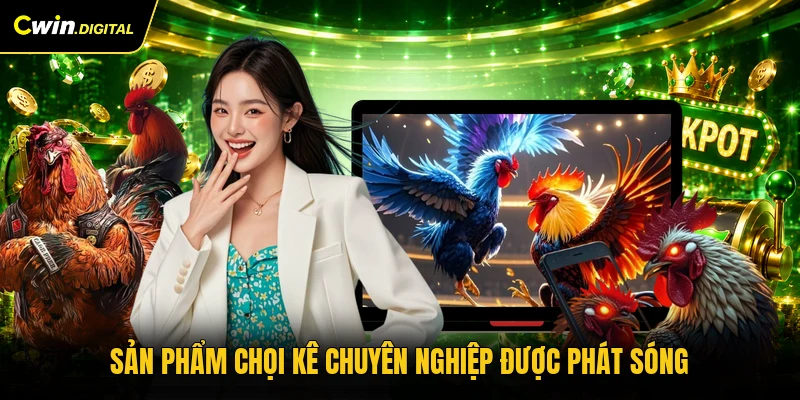 Sản phẩm chọi kê chuyên nghiệp được phát sóng