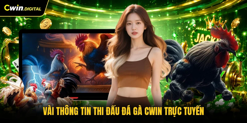 Vài thông tin thi đấu đá gà CWIN trực tuyến